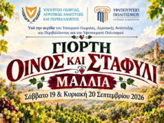 Κρασί, σταφύλι και παραδοσιακή μουσική σήμερα στη Μαλλιά