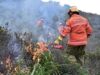 Υπό πλήρη έλεγχο η πυρκαγιά στη Μελάνδρα πριν επεκταθεί