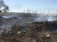 Арадиппу: Пожар в сухой траве взяли под контроль за 15 минут