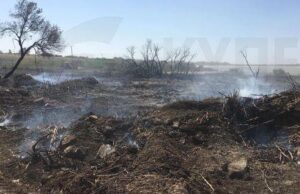 Αραδίππου: Υπό έλεγχο σε 15 λεπτά πυρκαγιά σε ξερά χόρτα