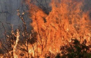 Υπό έλεγχο η πυρκαγιά στην Πόλη Χρυσοχούς – Έκαψε 8,5 δεκάρια