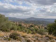 Στους 35 βαθμούς η θερμοκρασία – Πού αναμένονται βροχές Η εικόνα αποτελεί προϊόν Τεχνητής Νοημοσύνης.