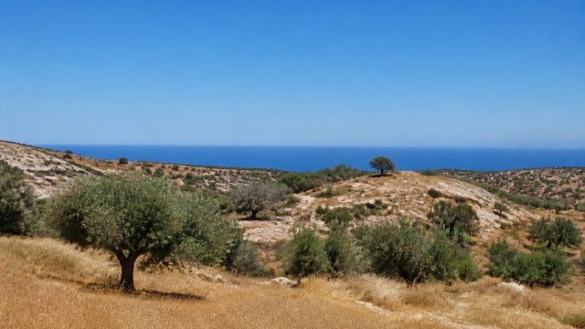 Η εικόνα αποτελεί προϊόν Τεχνητής Νοημοσύνης.