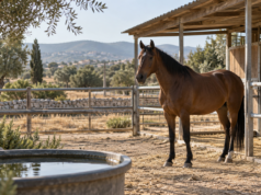 Η εικόνα αποτελεί προϊόν Τεχνητής Νοημοσύνης.