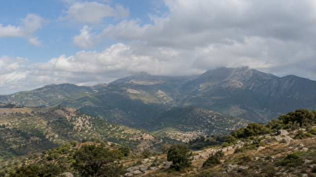 Create a factual, neutral editorial featured image for the following news topic. Η εικόνα αποτελεί προϊόν Τεχνητής Νοημοσύνης.