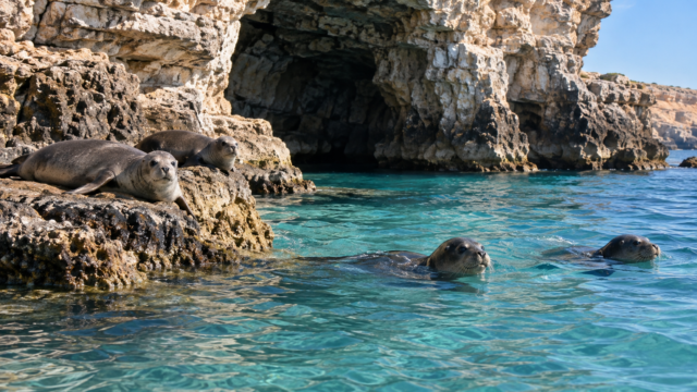 Ως featured image να χρησιμοποιηθεί η διαθέσιμη φωτογραφία της πηγής με τις Η εικόνα αποτελεί προϊόν Τεχνητής Νοημοσύνης.