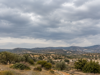 Η εικόνα αποτελεί προϊόν Τεχνητής Νοημοσύνης.