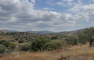 Η εικόνα αποτελεί προϊόν Τεχνητής Νοημοσύνης.