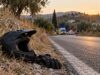 ΕΚΤΑΚΤΟ – Πάφος: Νεκρός ο 16χρονος Γιώργος σε τροχαίο με αγωνιστική μοτοσικλέτα