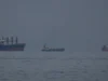 Εννέα διελεύσεις πλοίων την Πέμπτη από Στενά Ορμούζ