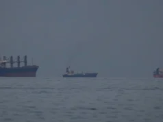 Εννέα διελεύσεις πλοίων την Πέμπτη από Στενά Ορμούζ