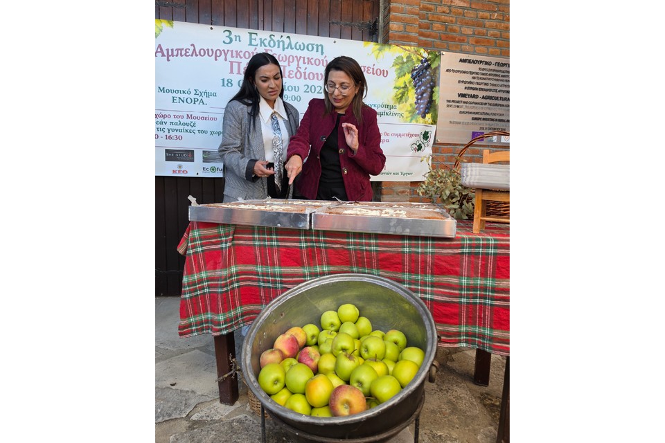 19102026_YpMetaforon_AmpelourgikoFestival (3)gov