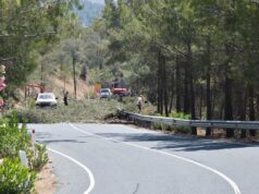 Ανακοίνωση του Τμήματος Δασών σχετικά με την προσωρινή διακοπή της κυκλοφορίας για εκτέλεση δασοκομικών εργασιών στον δρόμο Καρβουνά-Πλατεία Τροόδους