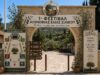 Πρώτο Φεστιβάλ Αιωνόβιων Ελιών σήμερα στη Σιλίκου