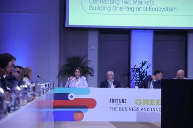 Υφυπουργός παρά τω Προέδρω – Fortune Greece and Cyprus Business and Innovation Roundtable