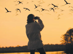 Φθινοπωρινό birdwatching στο Ακρωτήρι: η φύση βρίσκεται σε κίνηση