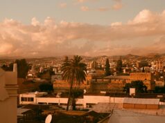 Πανοραμική όψη της Λεμεσού με κτίρια και φοίνικες