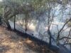 Взят под контроль пожар в двух очагах между Натой и Анаритой