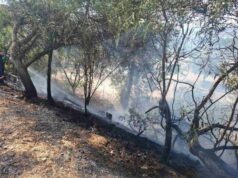 Взят под контроль пожар в двух очагах между Натой и Анаритой