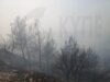 Тремитуса: Пожар взят под контроль за час — выгорели три декара