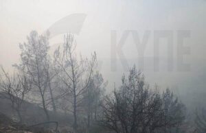 Тремитуса: Пожар взят под контроль за час — выгорели три декара