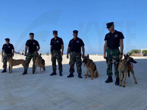 Έρευνες σε τρεις οικίες στη Λεμεσό – Δύο συλλήψεις και κατασχέσεις