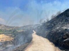 Φύτη: Υπό πλήρη έλεγχο σε 27 λεπτά η δασική πυρκαγιά