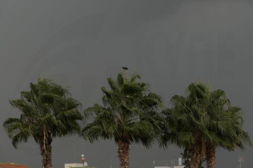 Εικόνα πηγής