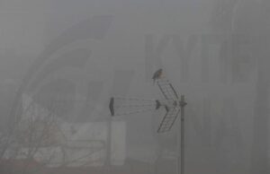 Густой туман в Палехори — видимость сильно ограничена