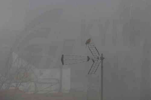 Πυκνή ομίχλη στο Παλαιχώρι – Πολύ περιορισμένη η ορατότητα