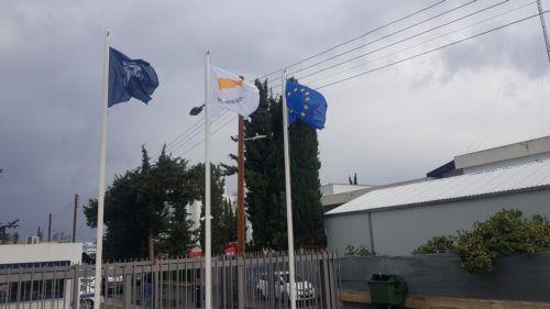 Πάφος: Συνελήφθη 18χρονος για υπόθεση θανάτωσης γάτου
