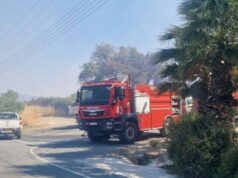 Πάφος: Υπό πλήρη έλεγχο δύο δασικές πυρκαγιές σε Αναρίτα και Αναδιού