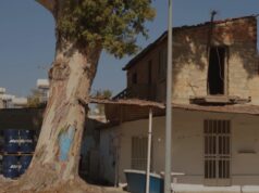 Κτίρια και δέντρο σε φωτογραφικό υλικό από την επίσημη σελίδα Σίνε Βόλος.