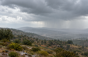 Η εικόνα αποτελεί προϊόν Τεχνητής Νοημοσύνης.