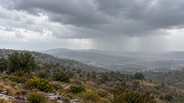 Create a factual, neutral editorial featured image for the following news topic. Η εικόνα αποτελεί προϊόν Τεχνητής Νοημοσύνης.