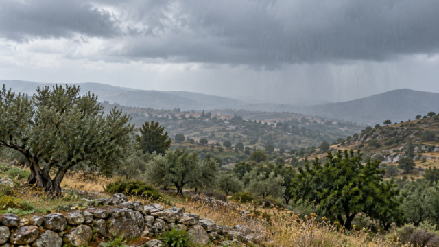 Η εικόνα αποτελεί προϊόν Τεχνητής Νοημοσύνης.
