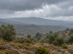 Η εικόνα αποτελεί προϊόν Τεχνητής Νοημοσύνης.