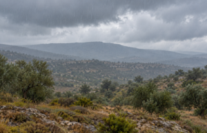 Καιρός: Βροχές και μεμονωμένες καταιγίδες σήμερα – Στους 26 βαθμούς Καιρός: Βροχές και μεμονωμένες καταιγίδες σήμερα – Στους 26 βαθμούς