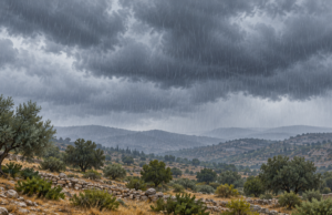 Αλλάζει ο καιρός στην Κύπρο – Βροχές, καταιγίδες και αισθητή πτώση της θερμοκρασίας