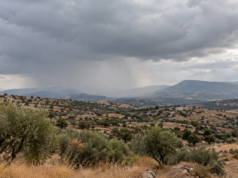 Η εικόνα αποτελεί προϊόν Τεχνητής Νοημοσύνης.