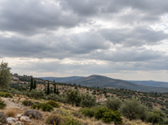 Η εικόνα αποτελεί προϊόν Τεχνητής Νοημοσύνης.