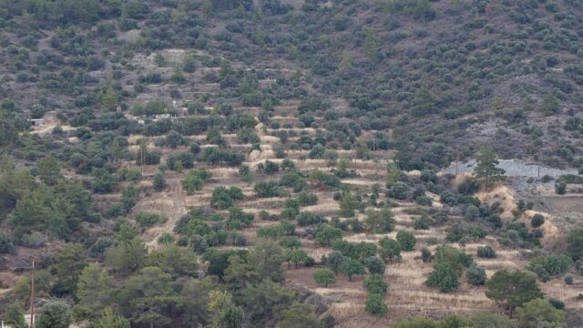 Αμαθούντα: €150 ανά 520 τ.μ. για καθαρισμό οικοπέδων — Μέχρι πότε γίνονται ενστάσεις Αμαθούντα: €150 ανά 520 τ.μ. για καθαρισμό οικοπέδων — Μέχρι πότε γίνονται ενστάσεις