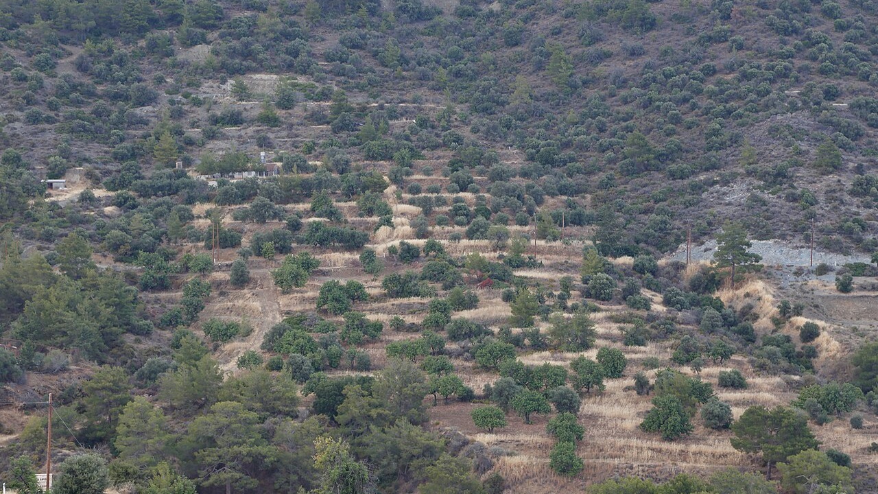 Αμαθούντα: €150 ανά 520 τ.μ. για καθαρισμό οικοπέδων — Μέχρι πότε γίνονται ενστάσεις Αμαθούντα: €150 ανά 520 τ.μ. για καθαρισμό οικοπέδων — Μέχρι πότε γίνονται ενστάσεις