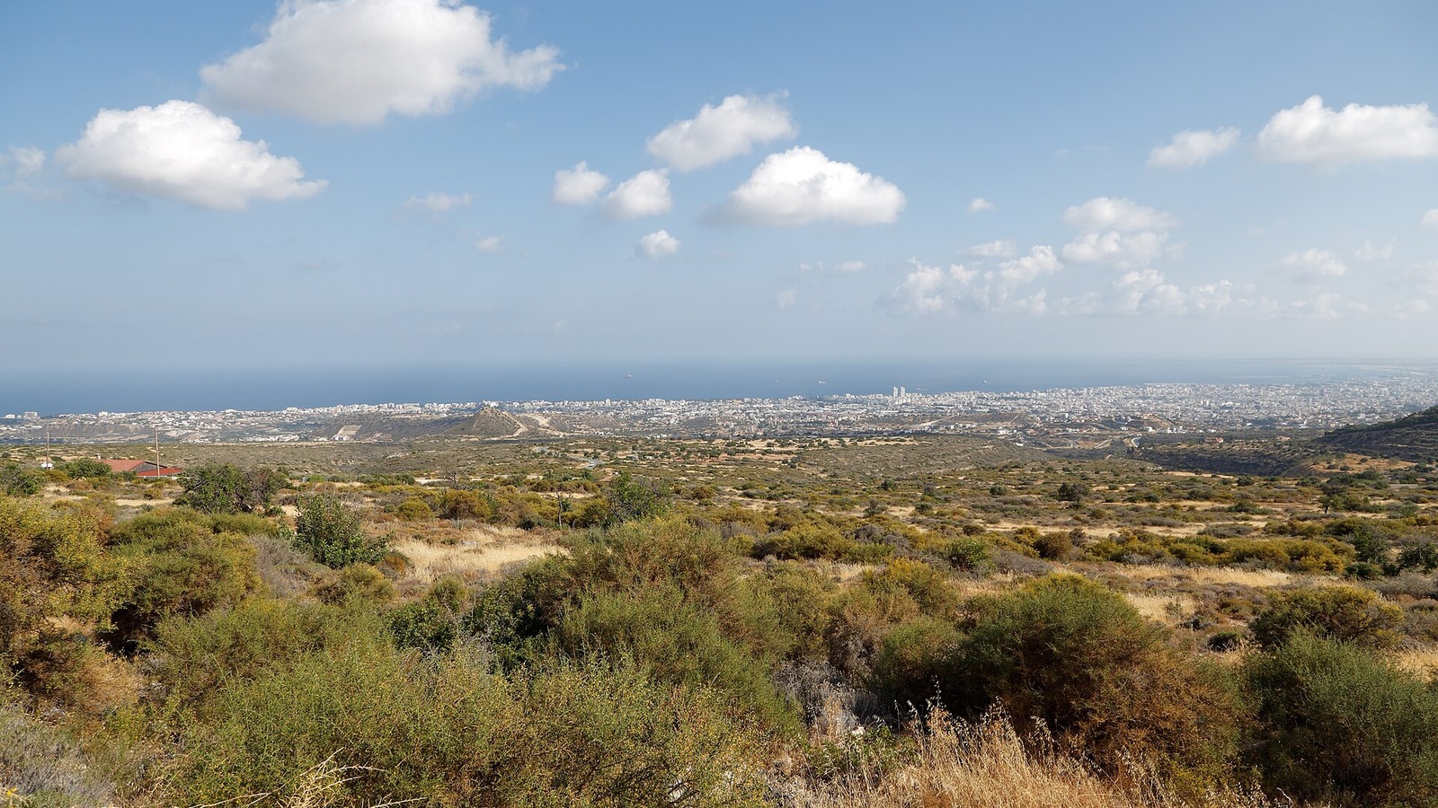 Σάββατο με τους σκύλους μας στη Γερμασόγεια: Το πρωινό ραντεβού που στηρίζει ένα καταφύγιο Σάββατο με τους σκύλους μας στη Γερμασόγεια: Το πρωινό ραντεβού που στηρίζει ένα καταφύγιο