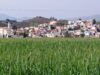 Σχέδιο για διπλάσια ιχθυοπαραγωγή στο Μοναγρούλλι: Οι 16 όροι για τη θαλάσσια ζωή Το χωριό Μοναγρούλλι και η γύρω αγροτική περιοχή της επαρχίας Λεμεσού