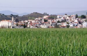 Σχέδιο για διπλάσια ιχθυοπαραγωγή στο Μοναγρούλλι: Οι 16 όροι για τη θαλάσσια ζωή