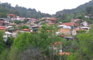 Τρεις Ελιές: Το σχέδιο που βάζει τις γεύσεις της Μαραθάσας στο επίκεντρο